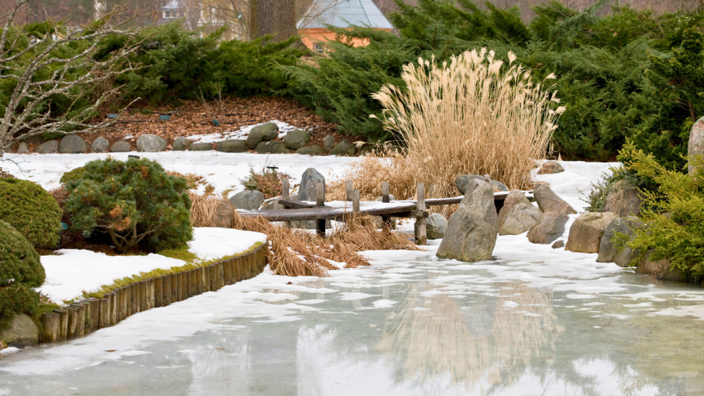 A serene winter garden scene with a small frozen pond surrounded by snow-covered shrubs, rocks, and dry ornamental grasses. A wooden footbridge crosses the pond, leading to a background of evergreen bushes and leafless trees.