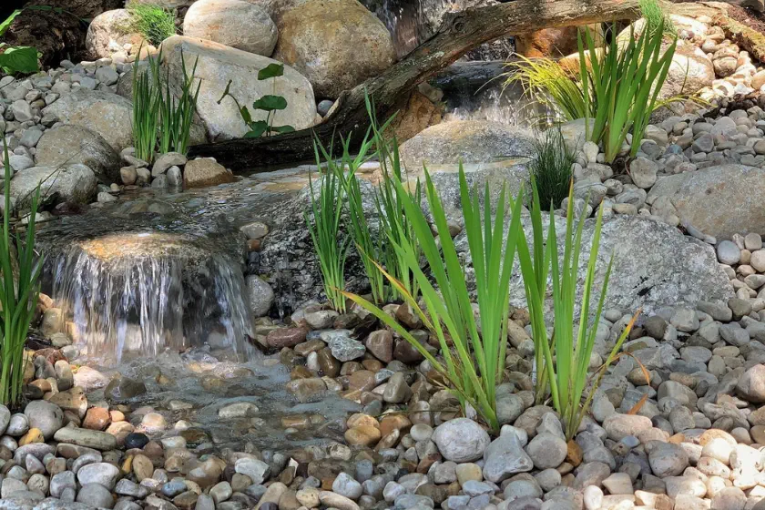 A small stream flows over rocks and pebbles, surrounded by green plants and tall grass, with larger rocks and a fallen branch in the background. Sunlight creates dappled patterns on the scene.