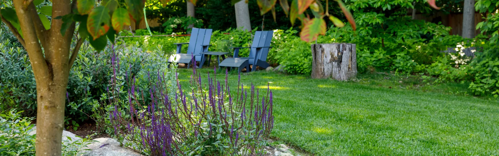 A lush green garden with two blue Adirondack chairs, a tree stump, purple flowers, and various shrubs; sunlight filters through the surrounding trees.