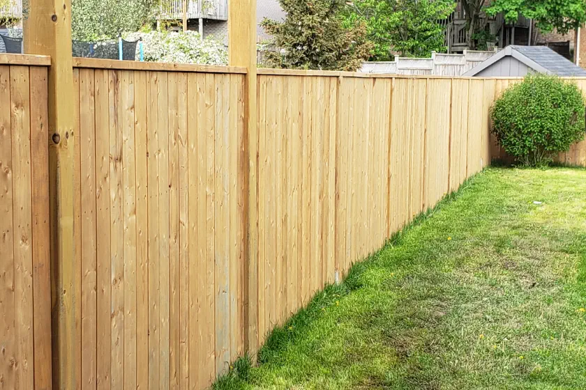 A tall wooden fence runs along the edge of a grassy backyard, with a small tree or bush in the corner and houses visible in the background.