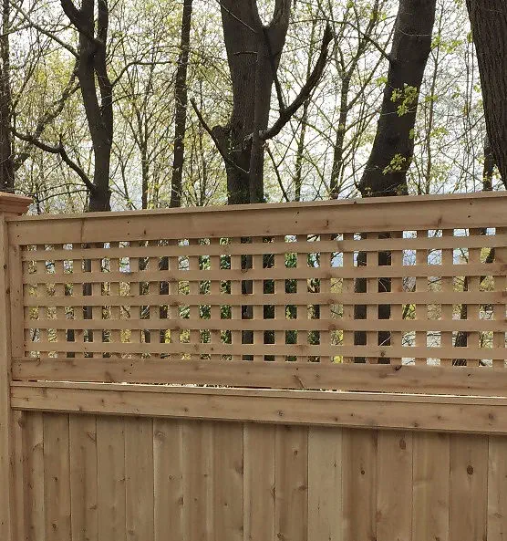 A wooden fence with a lattice top section stands in front of tall trees with sparse foliage, suggesting early spring.