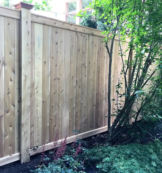 A tall wooden privacy fence runs along a garden with green plants and small trees, blocking the view of a house in the background. Sunlight filters through the branches and leaves.