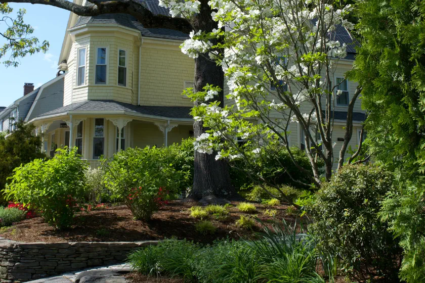 A yellow Victorian-style house with a wraparound porch stands behind a lush, landscaped garden featuring blooming trees, shrubs, and flower beds on a sunny day.