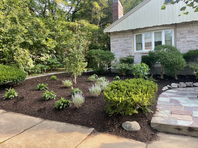Garden Enhancement 4 A landscaped garden with mulched soil, small shrubs, and various plants showcases thoughtful garden enhancement beside a stone path leading to a house with light brick walls and white-framed windows, all surrounded by trees and greenery.