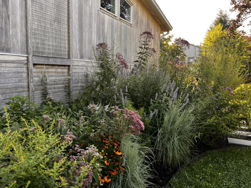 A lush garden with tall grasses, purple and pink flowers, and orange blooms thrives alongside a weathered wooden building on a sunny day. Seasonal services keep the shrubs and greenery vibrant as sunlight filters through trees in the background.