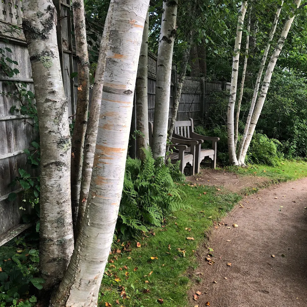 Homepage 21 The Winter Garden: How to Keep Your New England Landscape Beautiful Year Round